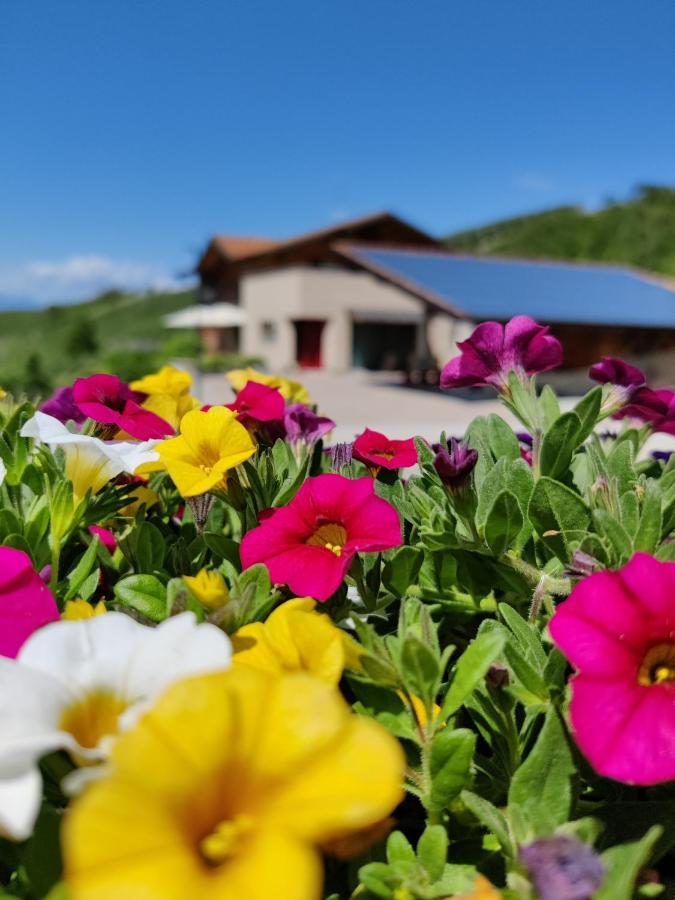 Bio Agritur al Bait Villa Spormaggiore Bagian luar foto